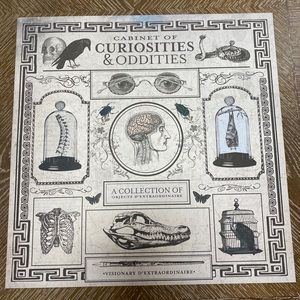 Curious Oddities art print 🌙